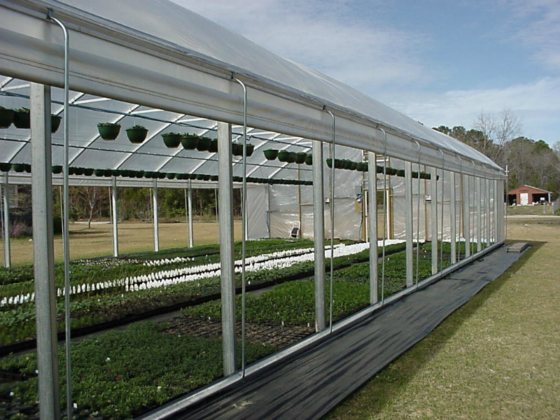 The Importance of Selecting the Right Commercial Greenhouse for Your Specific Needs