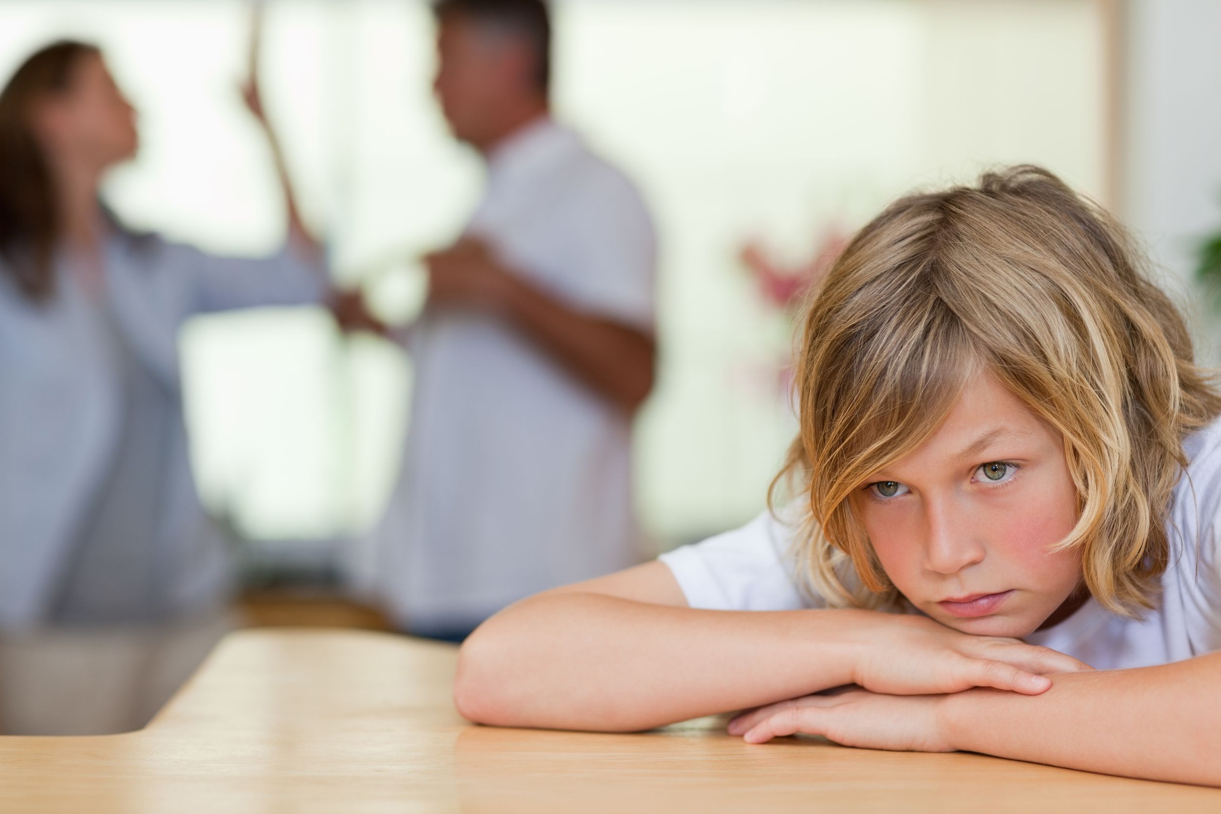 How a Child Custody Attorney in Chattanooga, TN Can Help You with Mediation