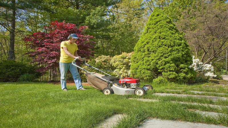 Lawn Services in Savannah, GA Vary in Scope