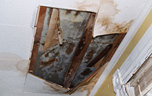 Expert Mold Remediation Is the Perfect Service After a Flood