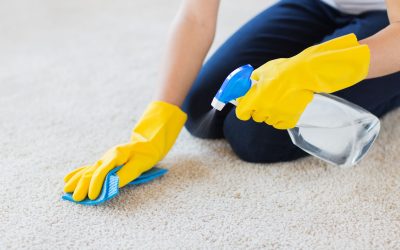 Premier House Cleaning Service in Dallas