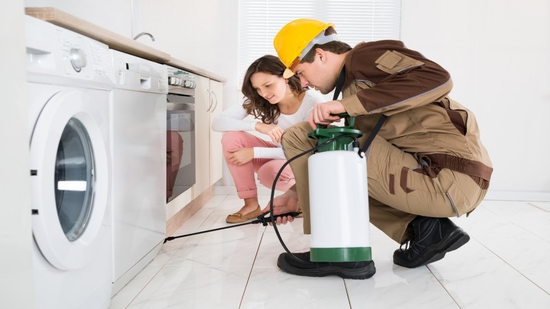 Common Questions About Home Pest Control In Geelong