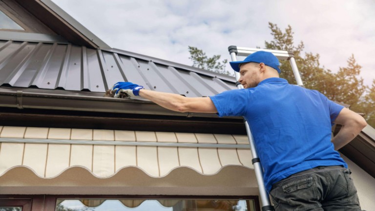 Seasonal Care with Gutter Cleaning Services in Puyallup, WA