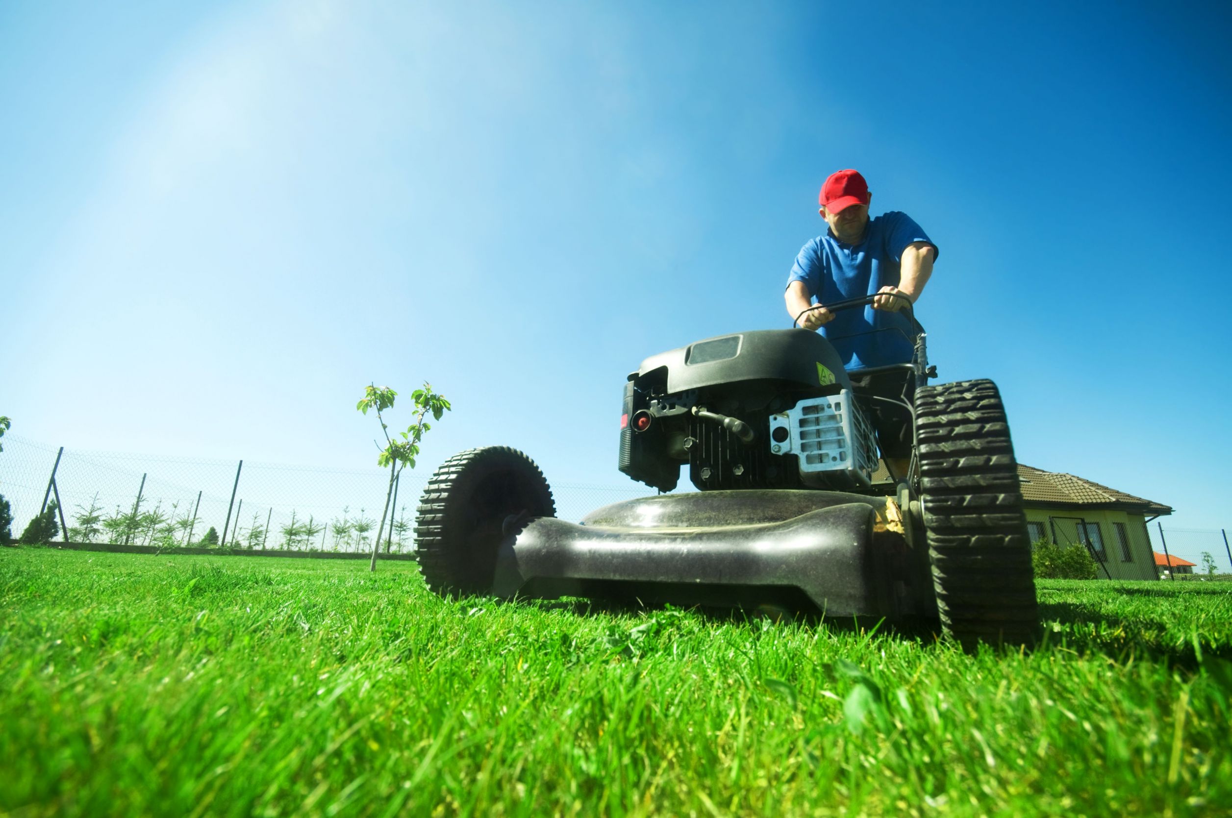 Why Does Lawn Aeration in Spokane Matter?