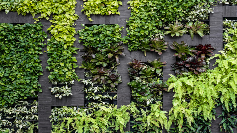 Elevate Your Office or Business Space in Miami With Indoor Plants