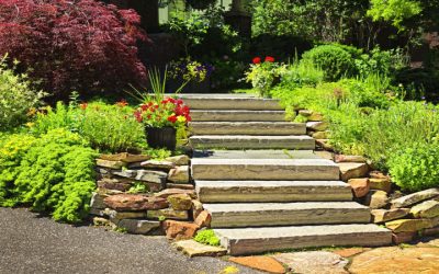 Achieve a Polished and Well-Defined Landscape with Decorative Curbs in Marshall, WI