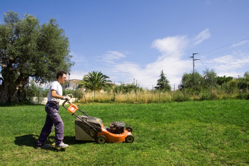 Expert Weed Control in Edmond, OK Is Cheaper and More Effective Than You Think