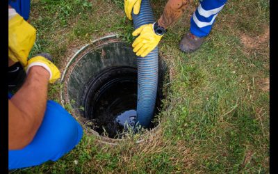 Stormwater Drain Management in Maui, HI: Safeguarding The Island’s Ecosystems