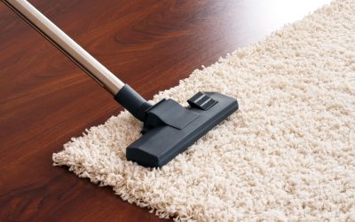 Carpet Cleaning in Hartford, WI: Your Path To a Cleaner, Healthier Home