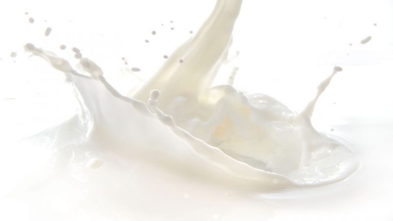 Good Dairy Product Suppliers in Pennsylvania