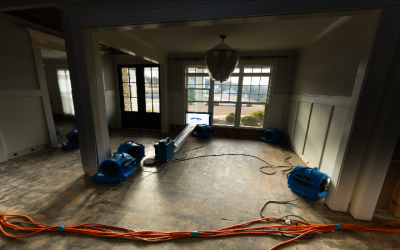 Essential Solutions for Water Damage Restoration in Newnan, GA