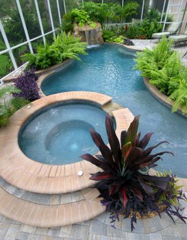 Lets Build Your Dream Pool with Natural Springs Pools Before Summer Is In Full Swing